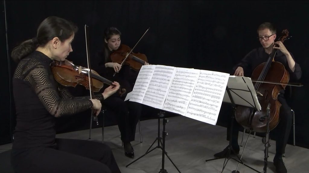 Livestream der Bamberger Symphoniker